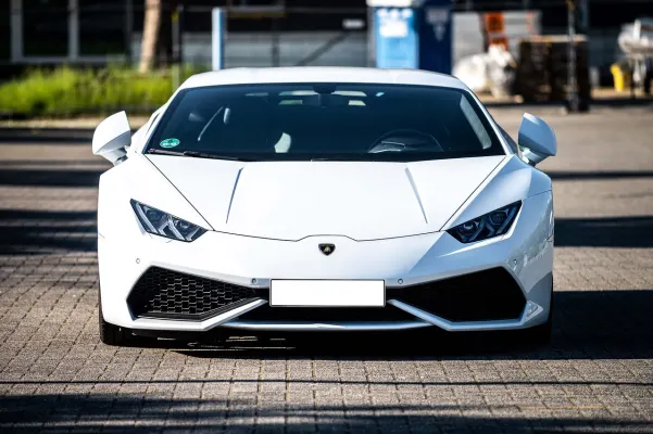 Kasyno Dogs Fortune Aplikacja Android/iOS